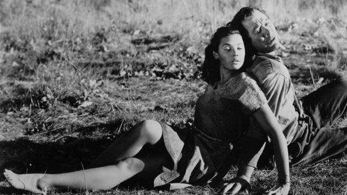 Tobacco Road filmas žiurėti online