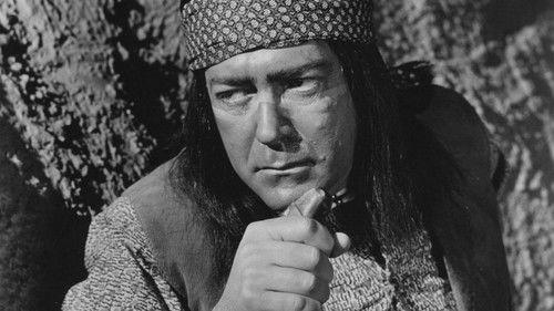 The Stand at Apache River filmas žiurėti online