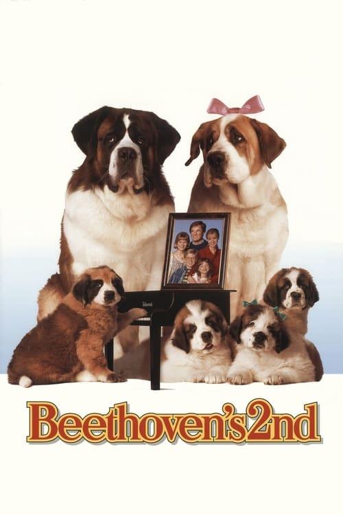 Bethovenas 2 filmas online