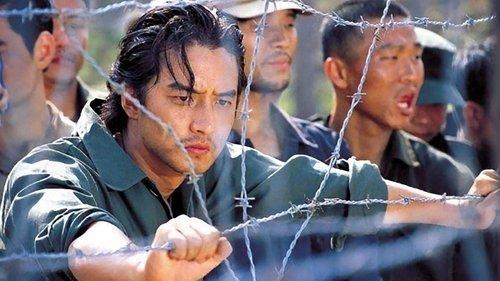 The Last Witness filmas žiurėti online