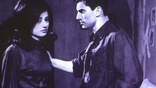 La cuccagna filmas žiurėti online