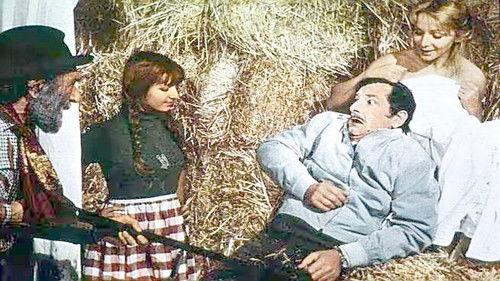 Campagnola bella filmas žiurėti online