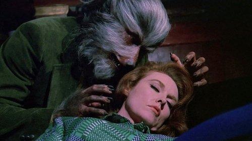 The Boy Who Cried Werewolf filmas žiurėti online