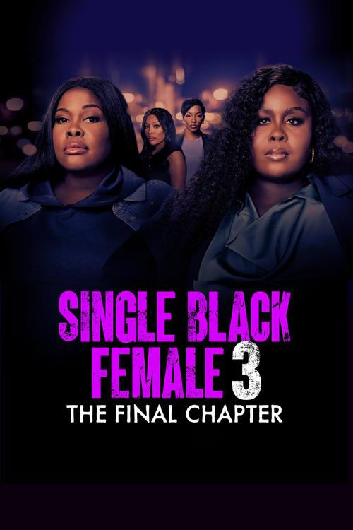 Single Black Female 3: The Final Chapter filmas online