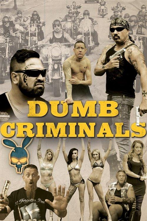 Dumb Criminals: The Movie filmas online