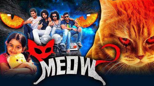 Meow filmas žiurėti online