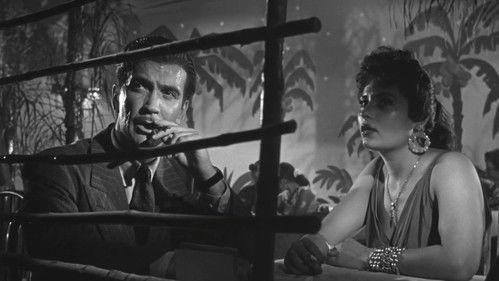 The Bitter Stems filmas žiurėti online