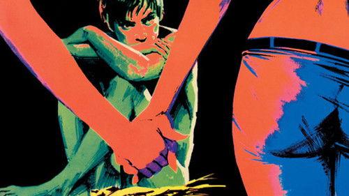 Season of the Senses filmas žiurėti online