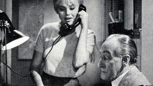 Il comandante filmas žiurėti online