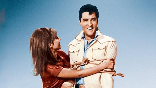 Tickle Me filmas žiurėti online