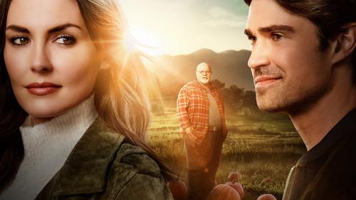 Pumpkin Everything filmas žiurėti online