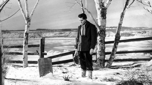 Young Mr. Lincoln filmas žiurėti online