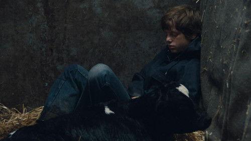 Voltati Eugenio filmas žiurėti online