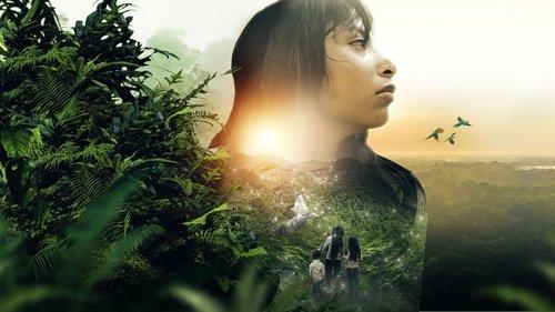Operación Esperanza: Los niños perdidos en el Amazonas filmas žiurėti online