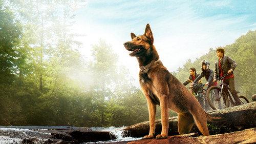 Maksas filmas žiurėti online