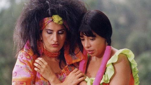 Destiny Has No Favorites filmas žiurėti online