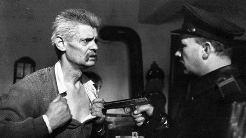 Húsz óra filmas žiurėti online