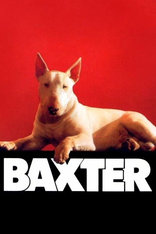 Baxter filmas online