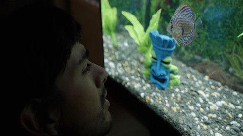 Notes from a Fish filmas žiurėti online