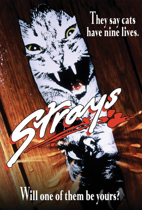 Strays filmas online