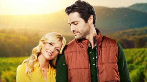 Christmas Uncorked filmas žiurėti online