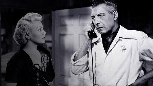 Mr. Imperium filmas žiurėti online