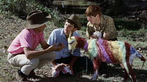 Funny Things Happen Down Under filmas žiurėti online