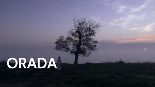 There filmas žiurėti online