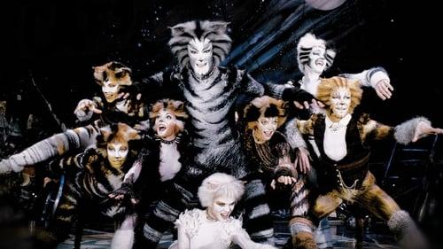 Cats filmas žiurėti online