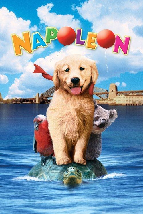 Napoleonas filmas online