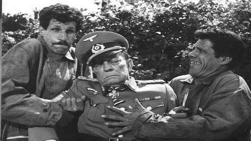 War Italian Style filmas žiurėti online