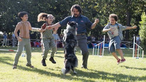 Gli addestratori filmas žiurėti online