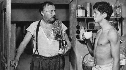 Condemned to Sin filmas žiurėti online