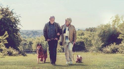 23 Walks filmas žiurėti online