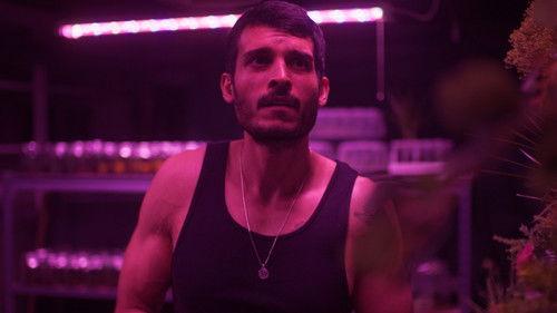 Tacoma filmas žiurėti online