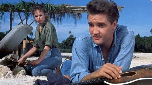 Follow That Dream filmas žiurėti online