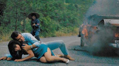 Lotosblüten für Miss Quon filmas žiurėti online