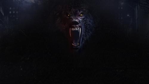 Werewolves filmas žiurėti online