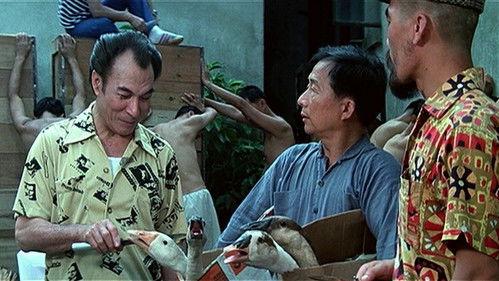 The Private Eyes filmas žiurėti online