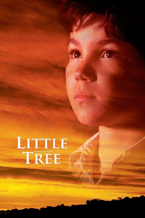 The Education of Little Tree filmas online