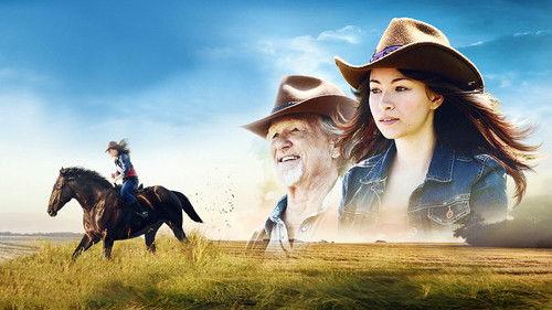 Midnight Stallion filmas žiurėti online