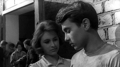 Adventures of Krosh filmas žiurėti online