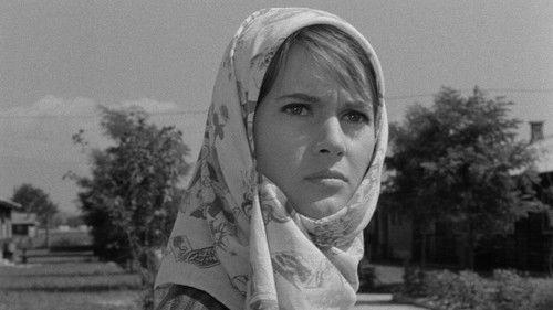 Don't Come Back by the Same Way filmas žiurėti online