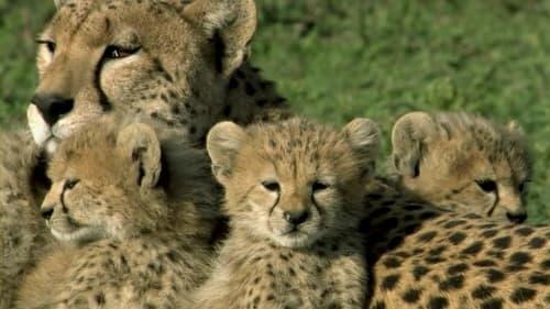 One Life filmas žiurėti online