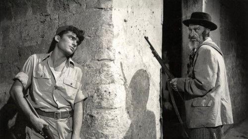 Hill 24 Doesn't Answer filmas žiurėti online