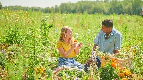 Kiss the Cook filmas žiurėti online