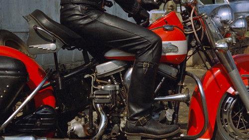 The Loveless filmas žiurėti online