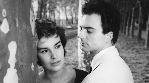 Young Husbands filmas žiurėti online