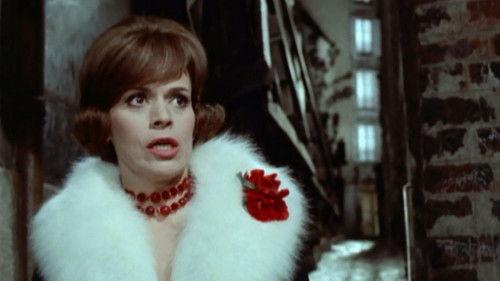 Paris, My Love filmas žiurėti online