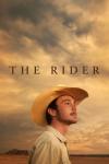 The Rider filmas